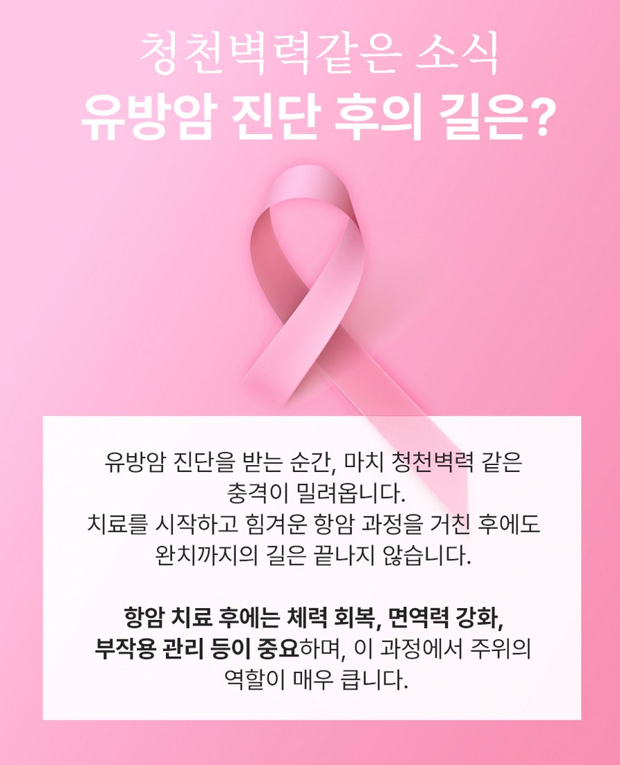 본문 내용을 보조하는 이미지