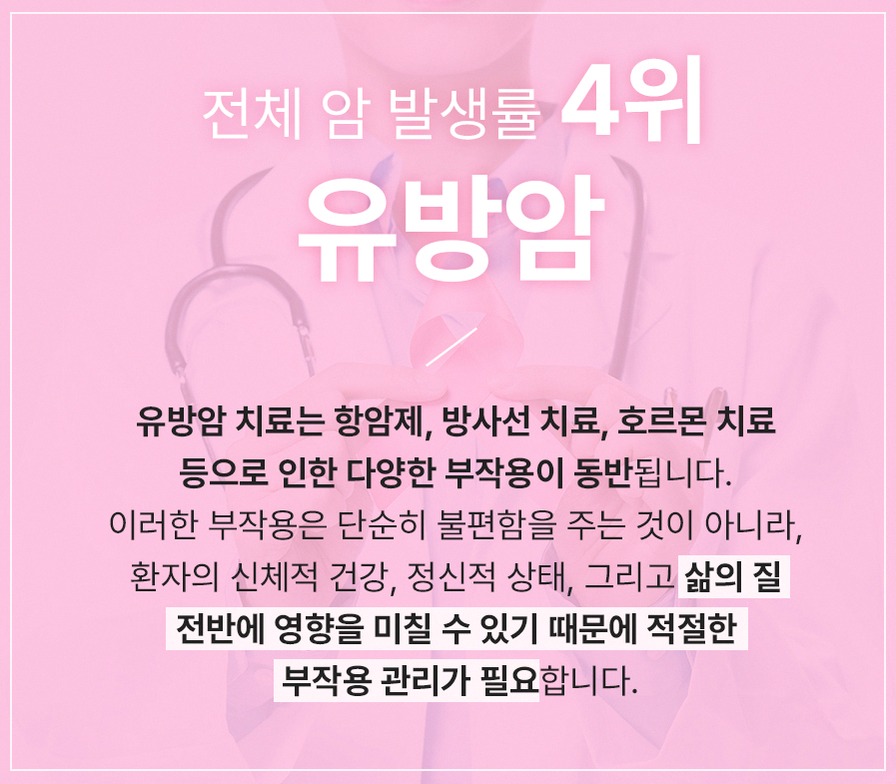 본문 내용을 보조하는 이미지