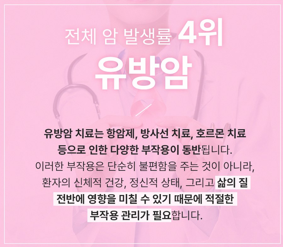 본문 내용을 보조하는 이미지