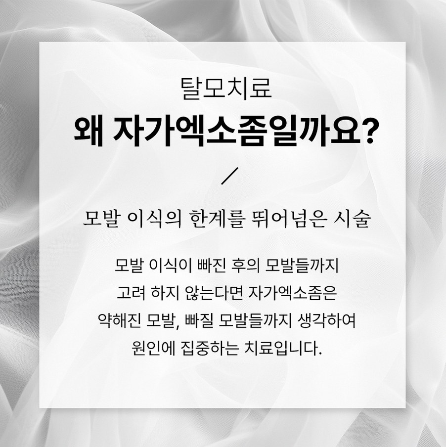 본문 내용을 보조하는 이미지