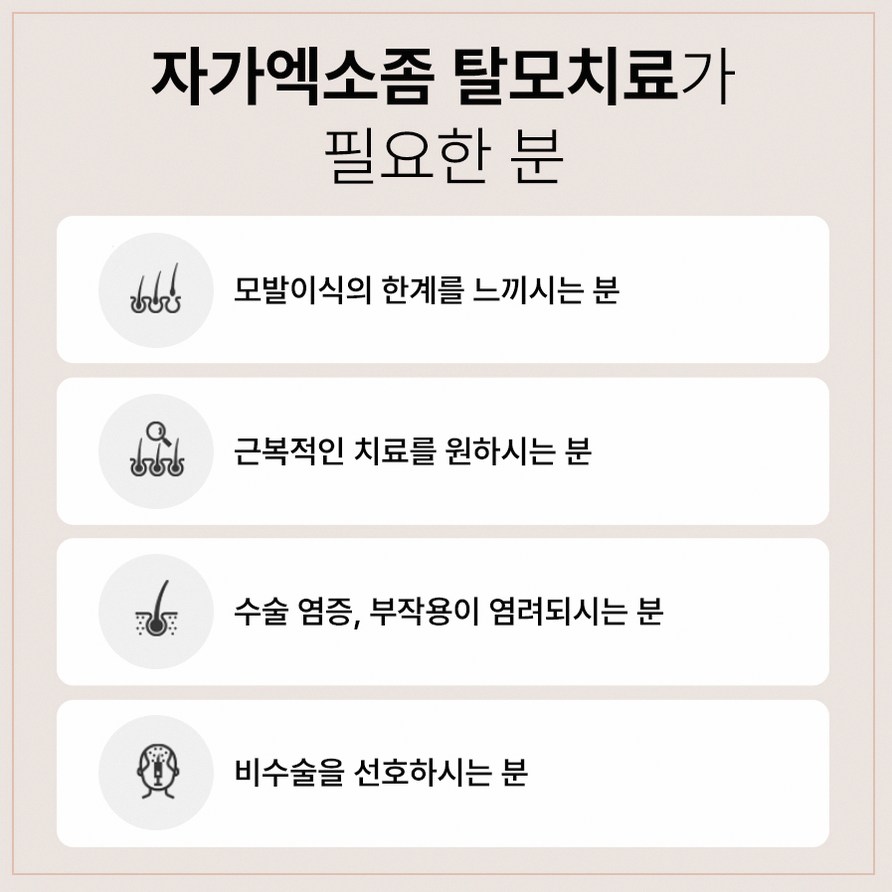 본문 내용을 보조하는 이미지