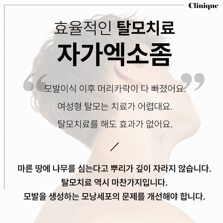 본문 내용을 보조하는 이미지