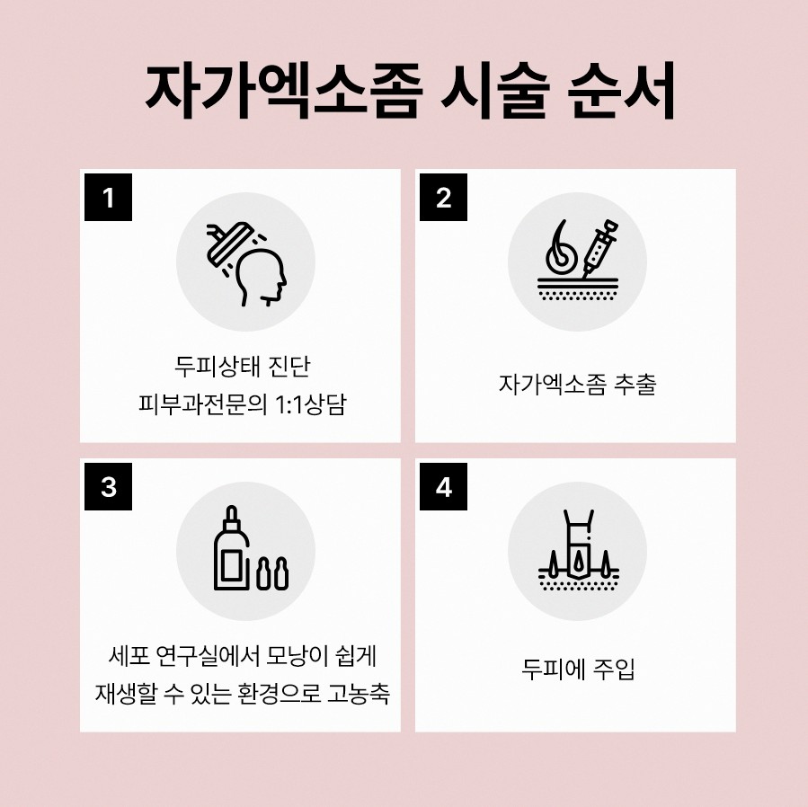 본문 내용을 보조하는 이미지