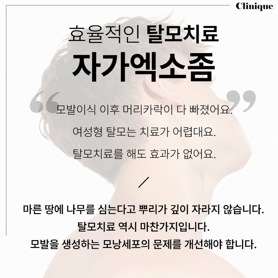 본문 내용을 보조하는 이미지