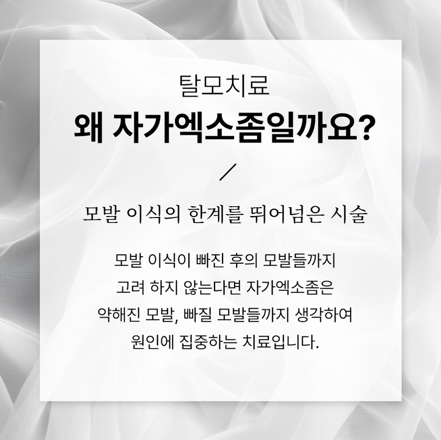 본문 내용을 보조하는 이미지