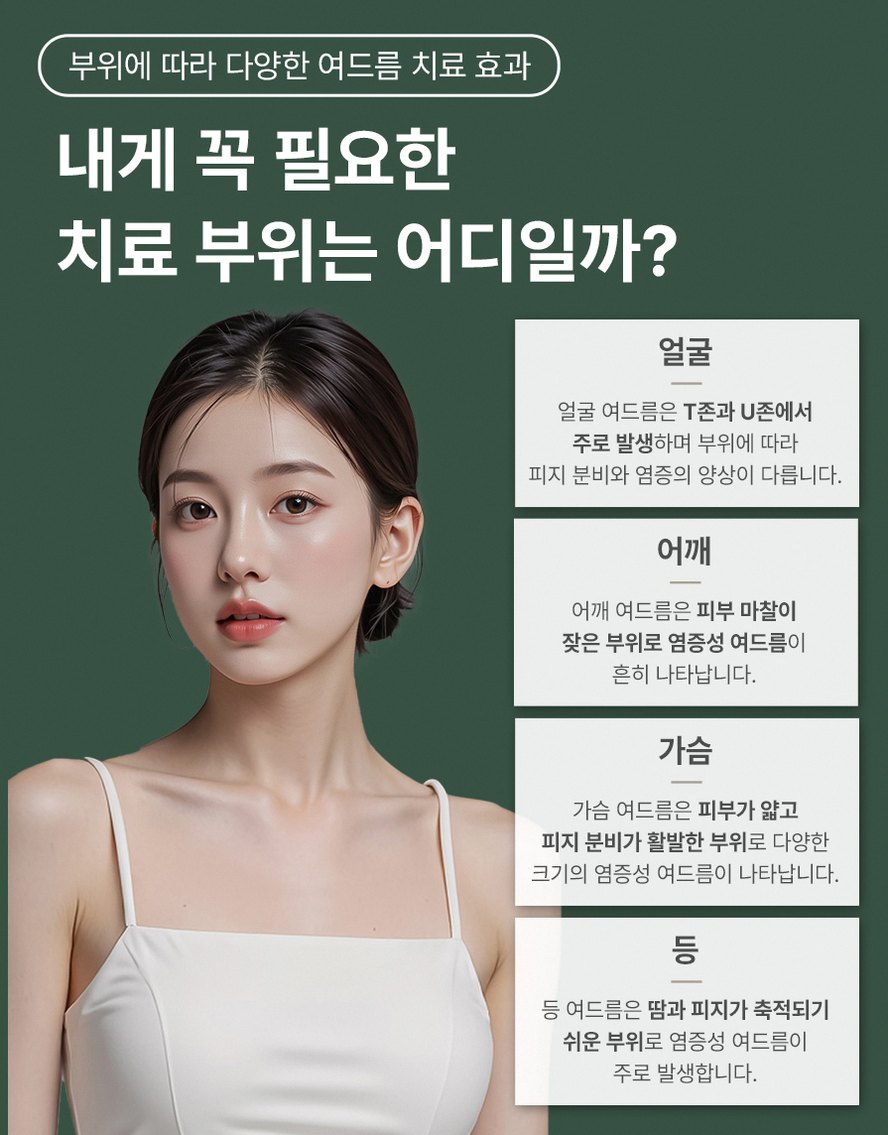 본문 내용을 보조하는 이미지