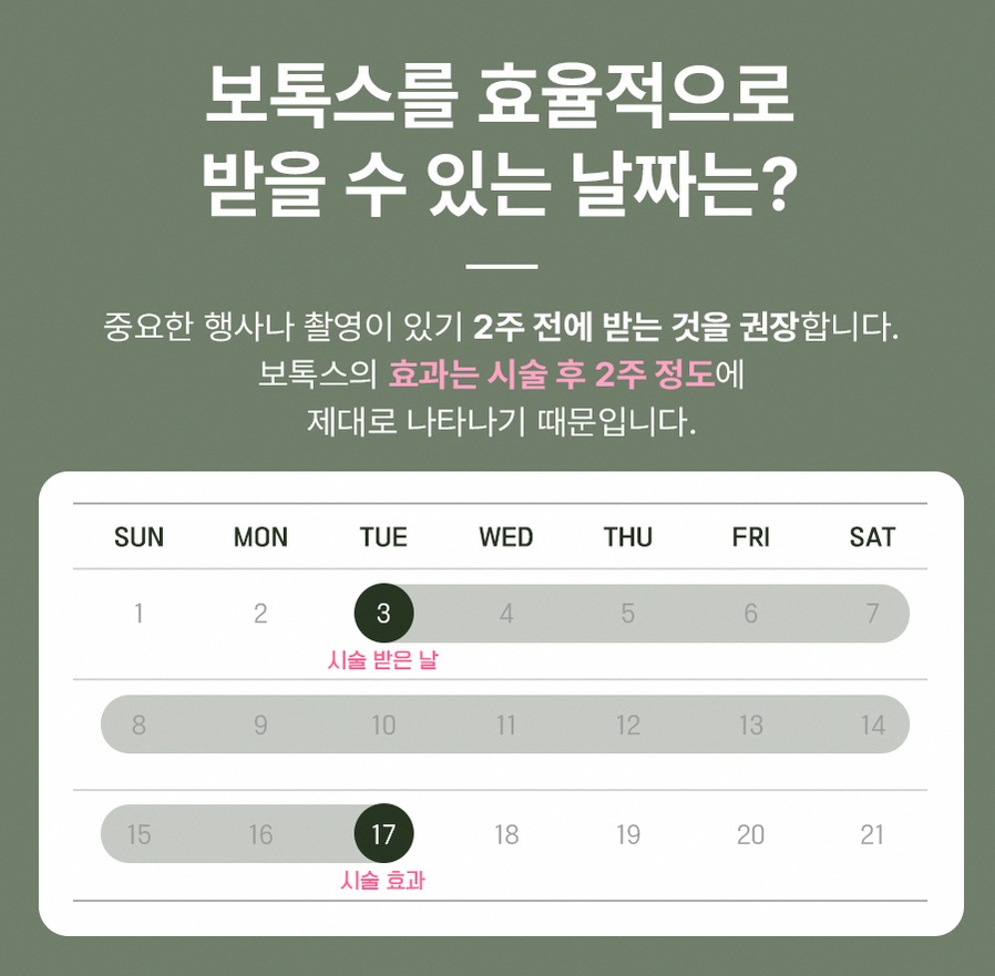 본문 내용을 보조하는 이미지