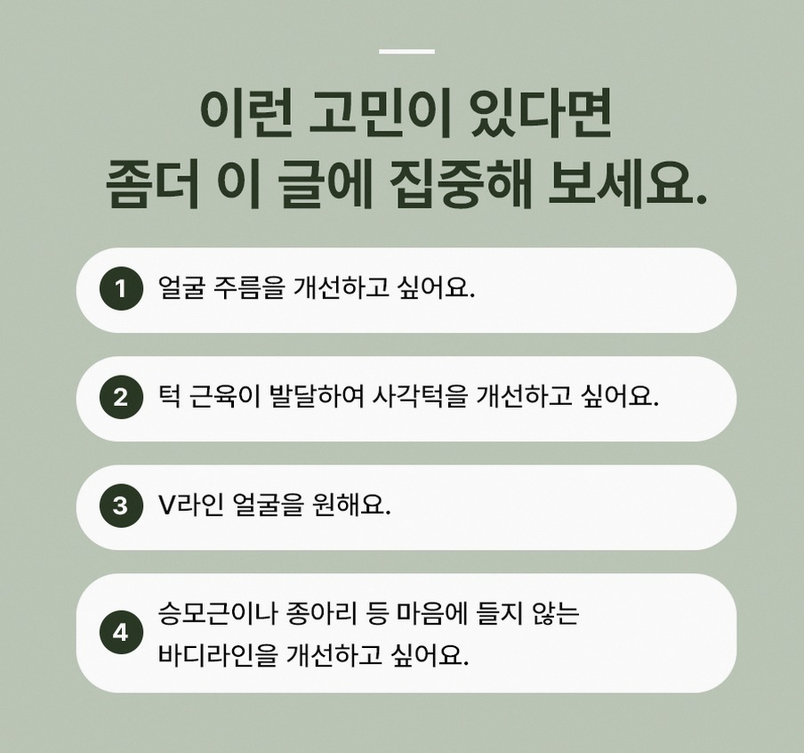 본문 내용을 보조하는 이미지