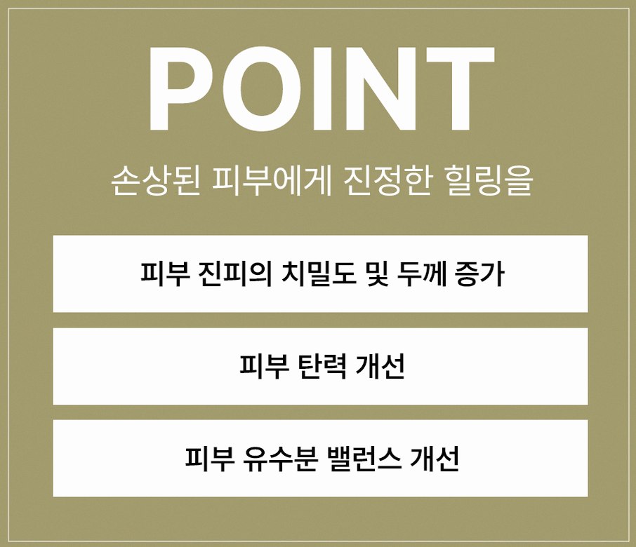 본문 내용을 보조하는 이미지
