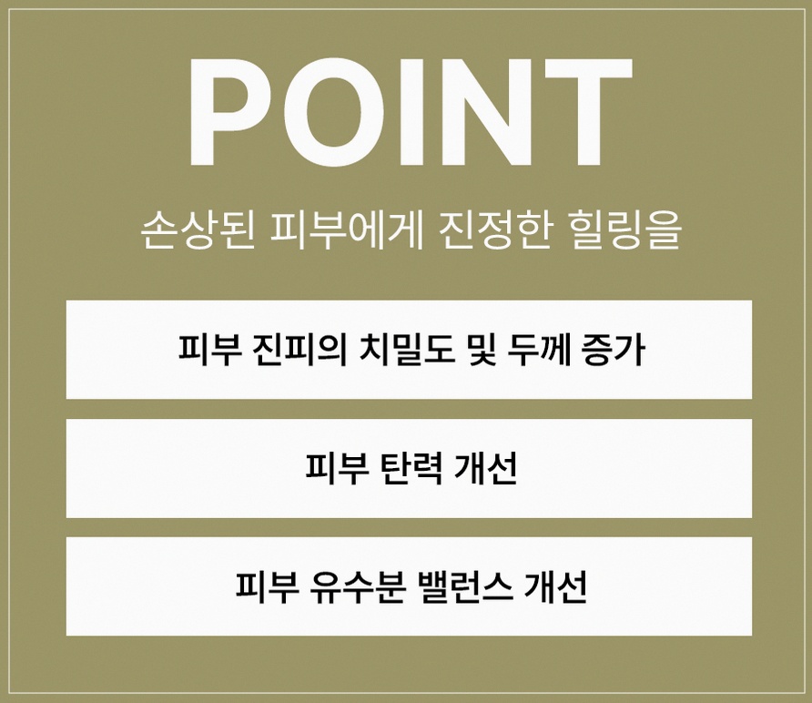 본문 내용을 보조하는 이미지