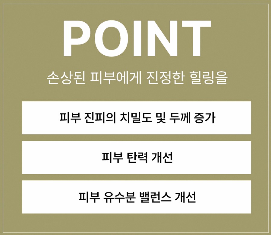 본문 내용을 보조하는 이미지