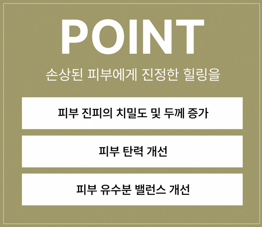 본문 내용을 보조하는 이미지