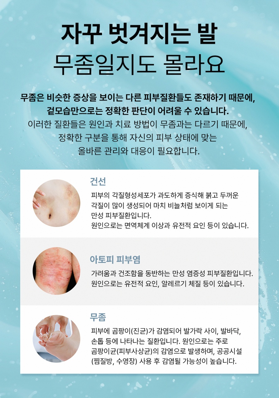 본문 내용을 보조하는 이미지