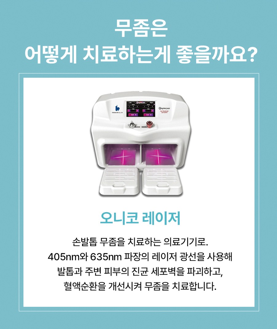 본문 내용을 보조하는 이미지