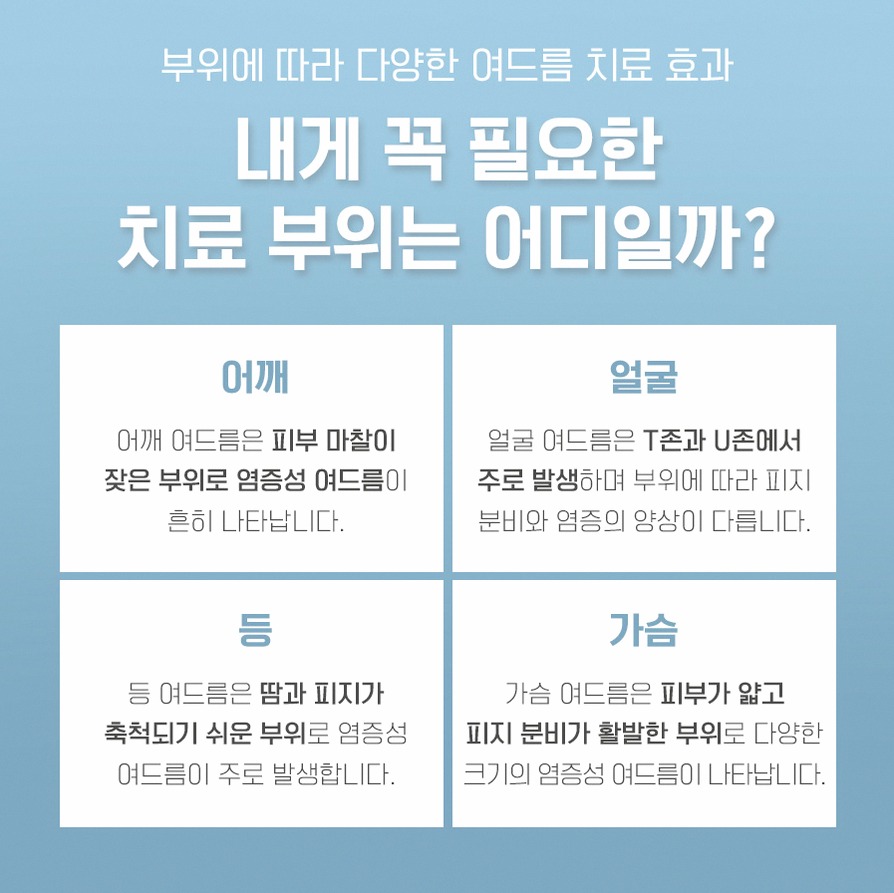 본문 내용을 보조하는 이미지
